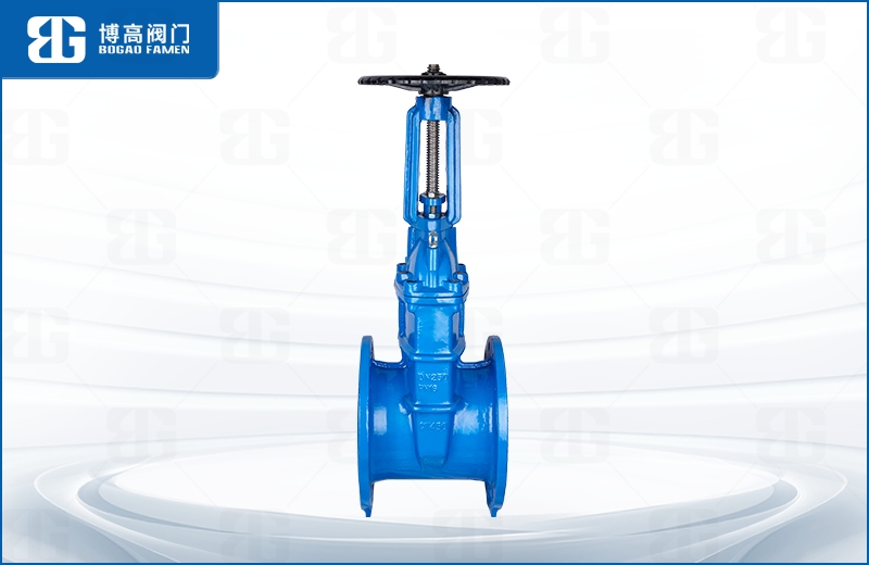 明杆彈性座(zuo)封閘閥