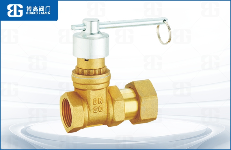 磁(cí)性鎖閉(bi)活接止(zhi)回閘閥(fá)