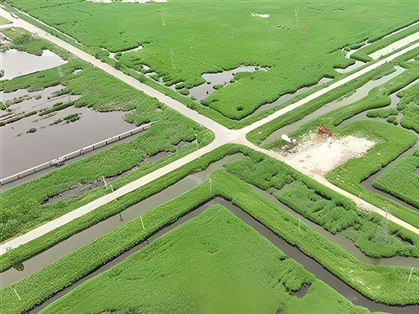 打造綠(lü)色低碳(tàn)油田 做(zuo)綠色發(fa)展的“頂(dǐng)梁柱”